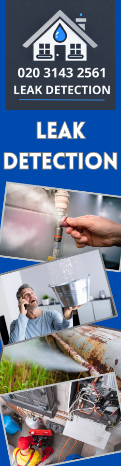 Berrylands Leak Detection
