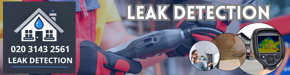 Berrylands Leak Detection