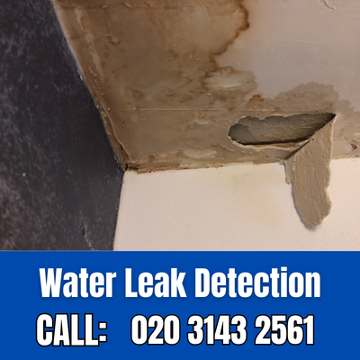 Expert Water Leak Detection Services in Berrylands | Berrylands Leak Detection